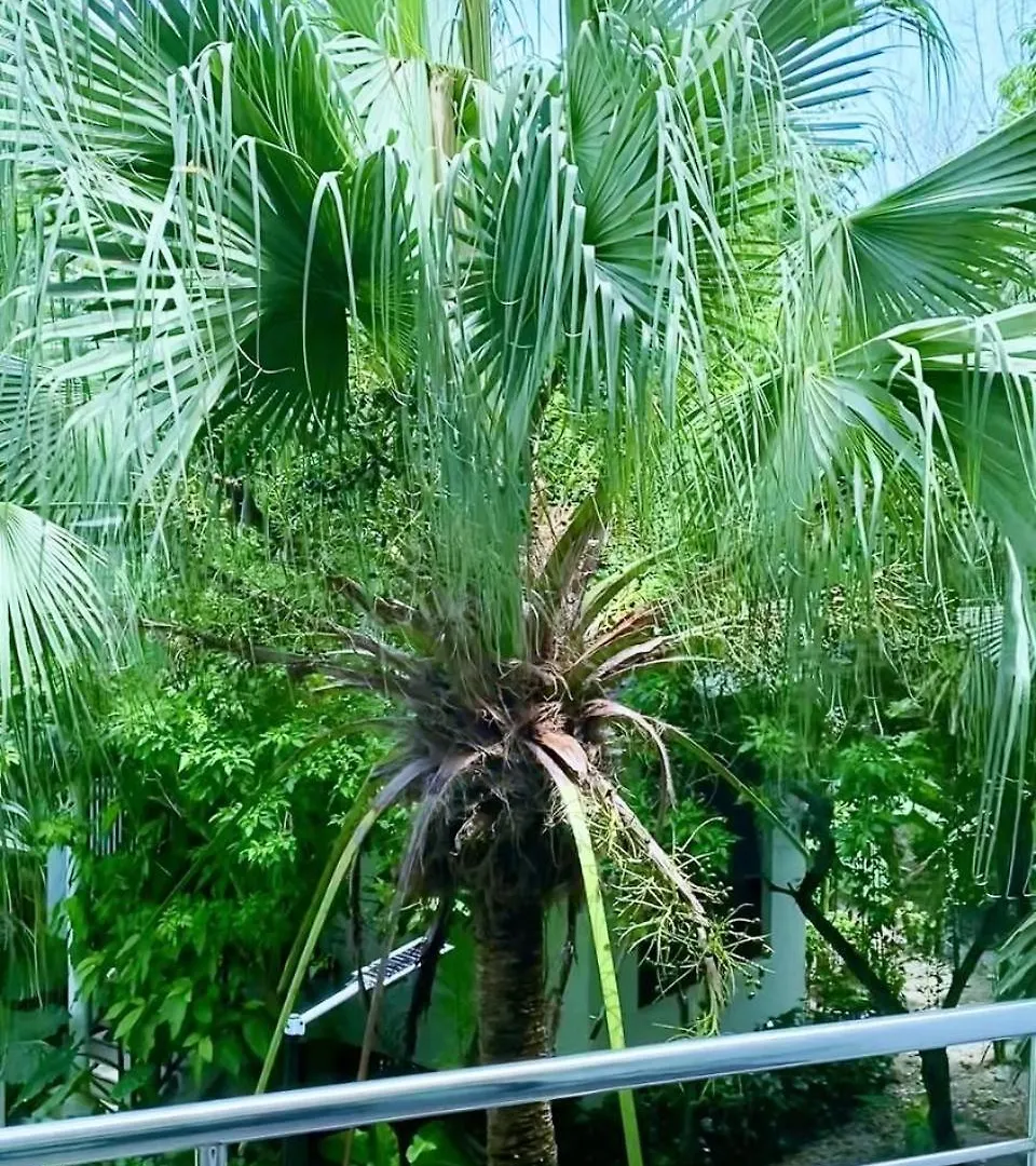 Ton Sai Tropical Phi Phi Island Hotel 3*, Phi Phi Don Thailand